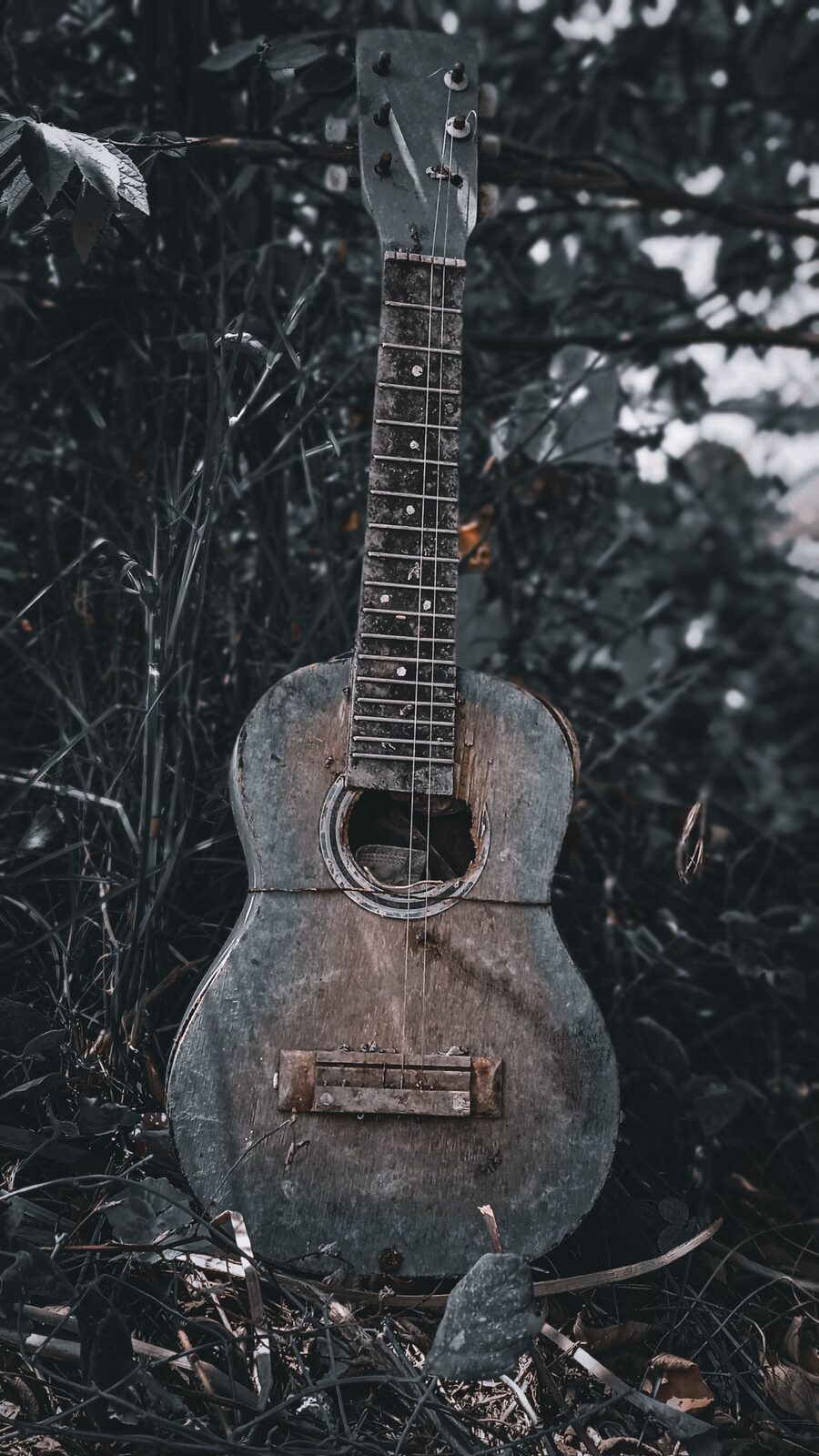 Guitarra antigua, raices del blues