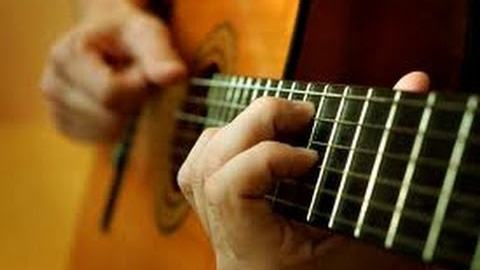 Parts of the guitar